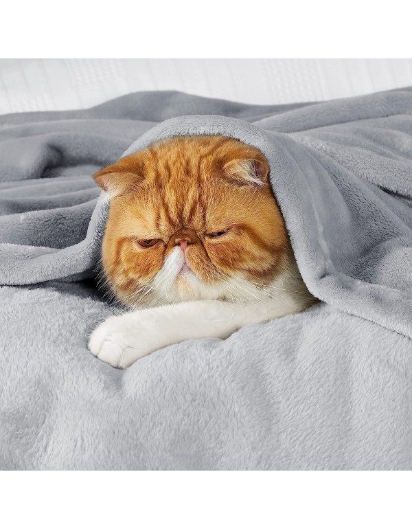 Bedsure Fleece Blanket Throw Blanket - Light Grey Lightweight Blankets for Sofa, Couch, Bed, Camping, Travel - Super Soft Cozy Microfiber Blanket Visit the Bedsure Store