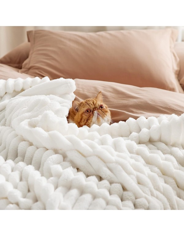 Bedsure White Fleece Throw Blanket for Couch - Super Soft Cozy Blankets for Women, Cute Small Blanket for Girls, 50x60 Inches